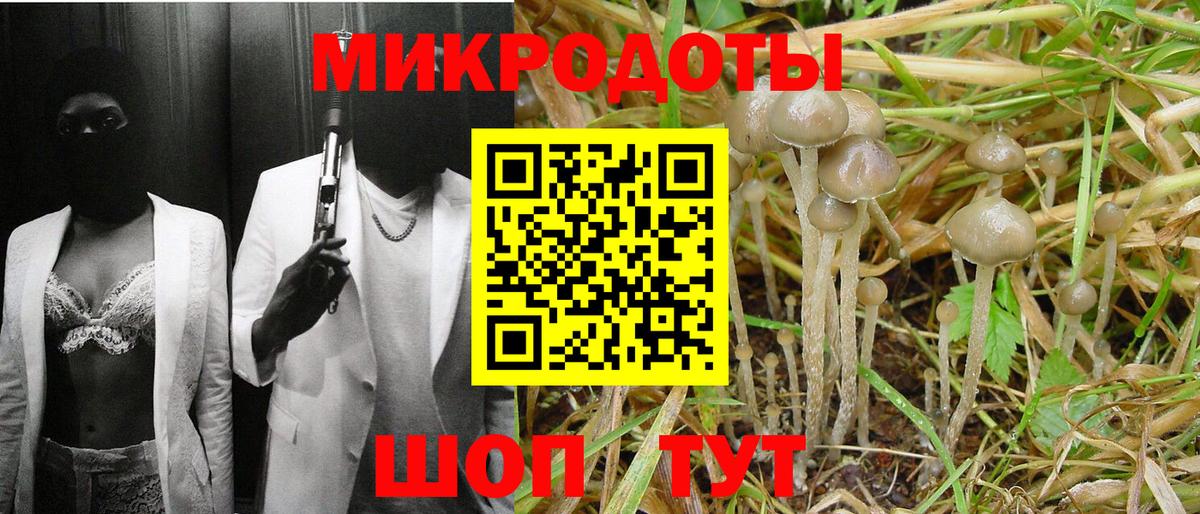 Фролово  Псилоцибиновые грибы мицелий  Вход с VPN  Галлюциногенные грибы GOLDEN TEACHER 