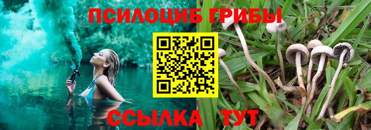 Галлюциногенные грибы Cubensis Фролово